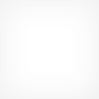 帮企业做决策的在线免费轰炸电话网页版